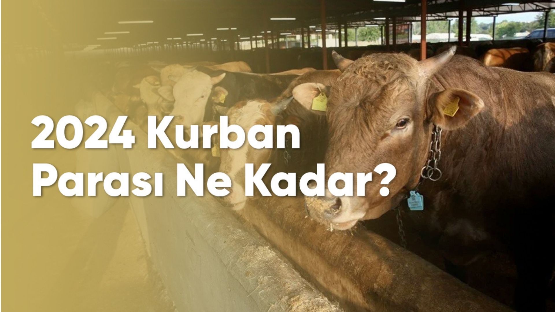 2024 Kurban Parası Ne Kadar?